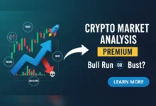 crypto market analysis Premium: Bull Run or Bust?