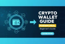 crypto wallet guide: Phenomenal Beginner's Guide